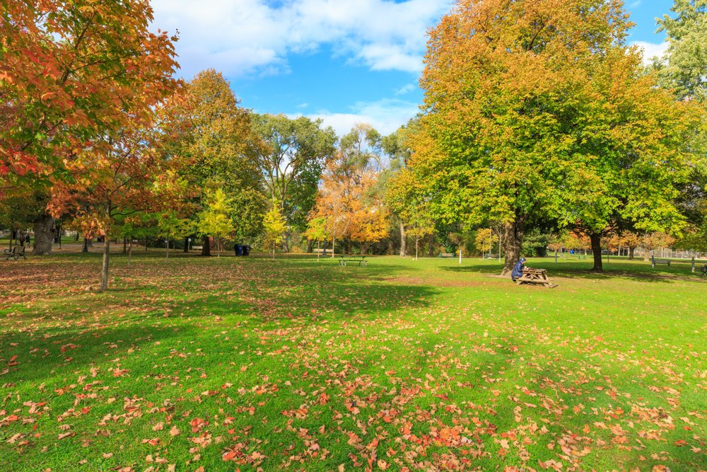 Toronto's Most Walkable Neighbourhoods | Sotheby's ...